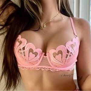 Honey Birdette Pink Heart Bra Size 34D